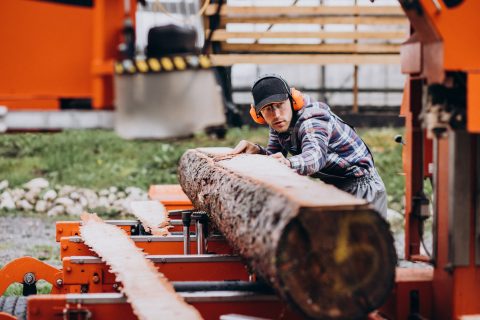 Carpenter,Working,On,A,Sawmill,On,A,Wood,Manufacture Carpenter,Working,On,A,Sawmill,On,A,Wood,Manufacture